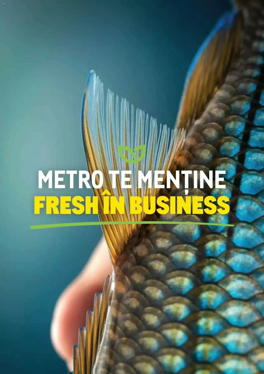 Catalog Metro, pagina 82 din 82