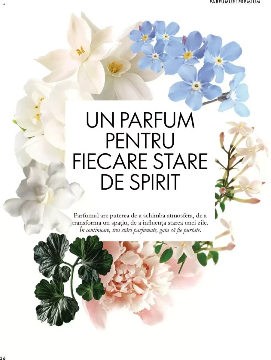 Catalog Oriflame, pagina 36 din 172