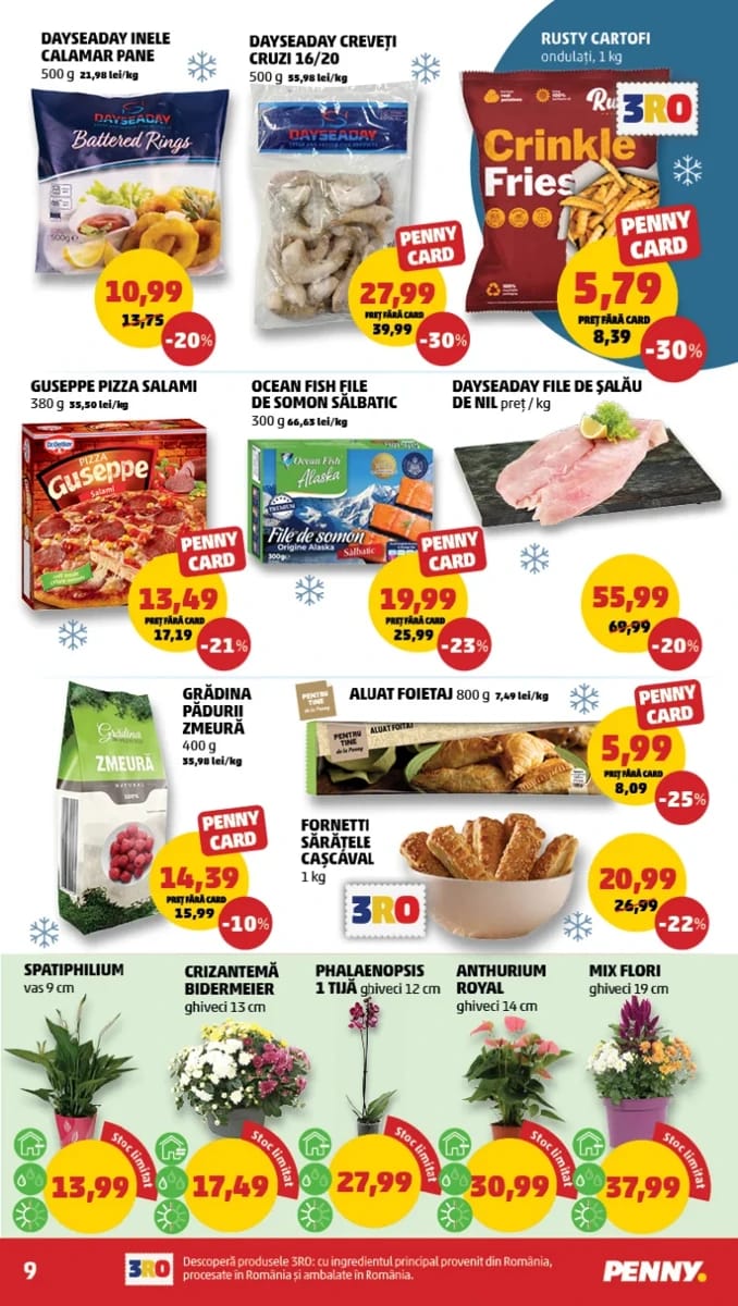 Catalog Penny, pagina 9 din 24