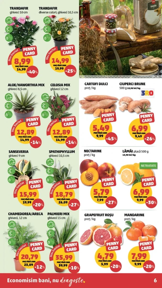 Catalog Penny, pagina 6 din 24