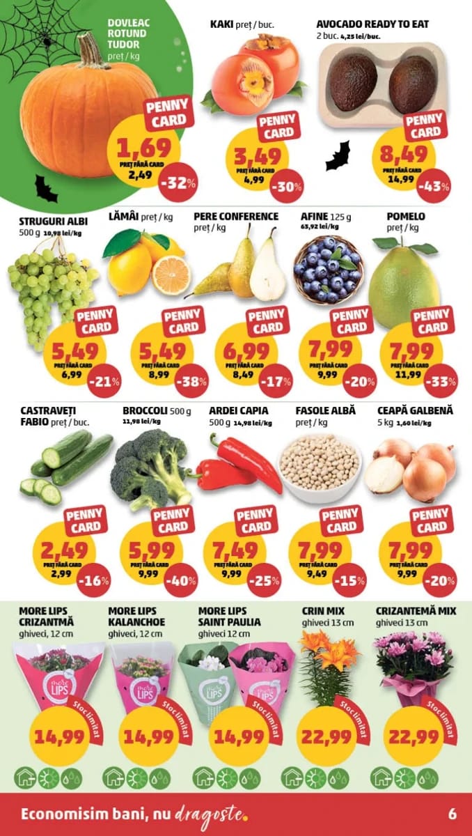 Catalog Penny, pagina 6 din 20