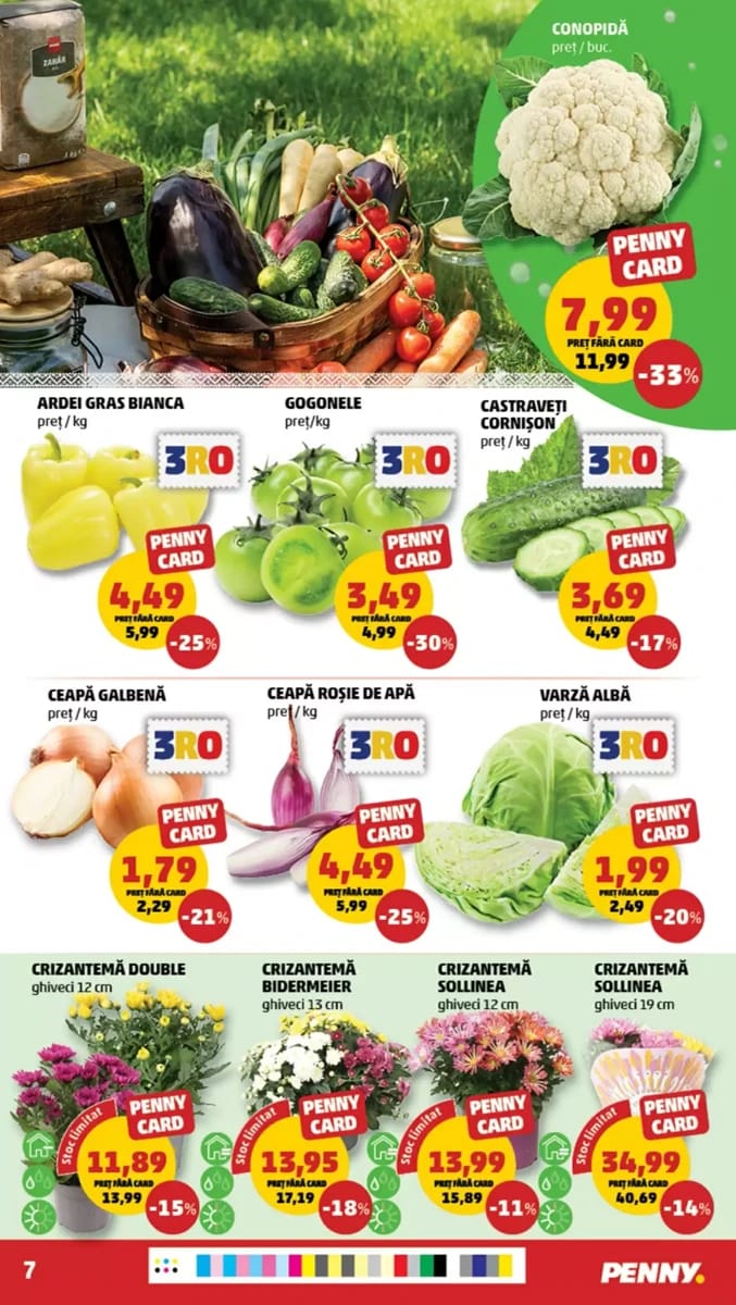 Catalog Penny, pagina 7 din 24