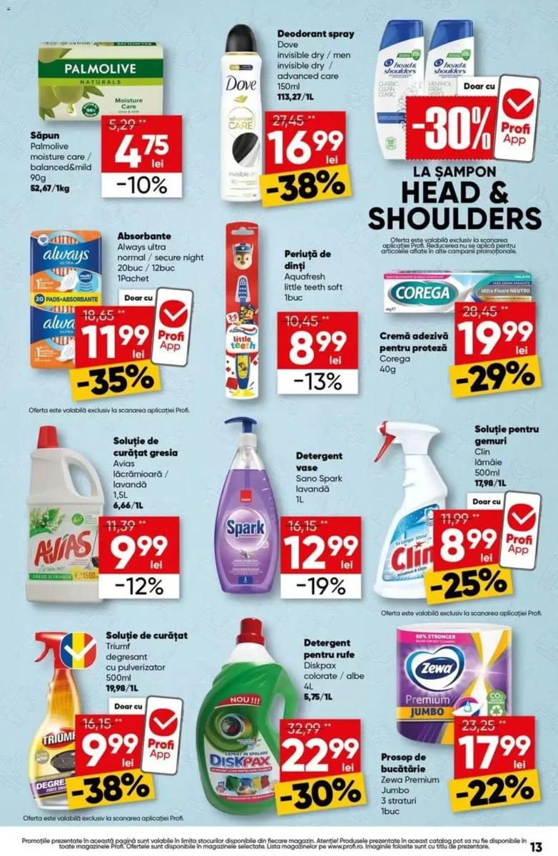 Catalog Profi, pagina 13 din 18