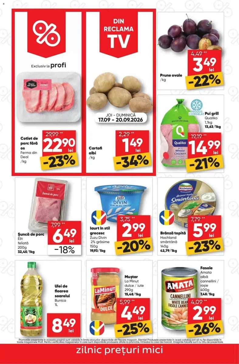 Catalog Profi, pagina 2 din 4