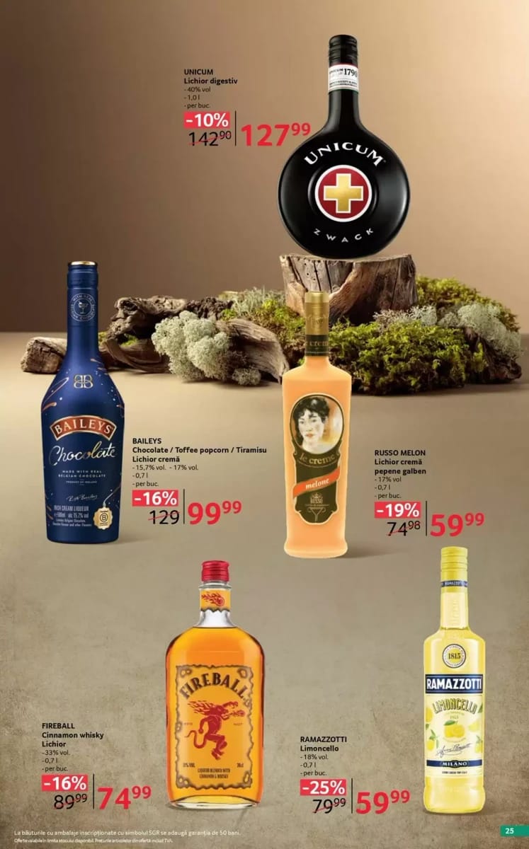 Catalog Selgros, pagina 25 din 38