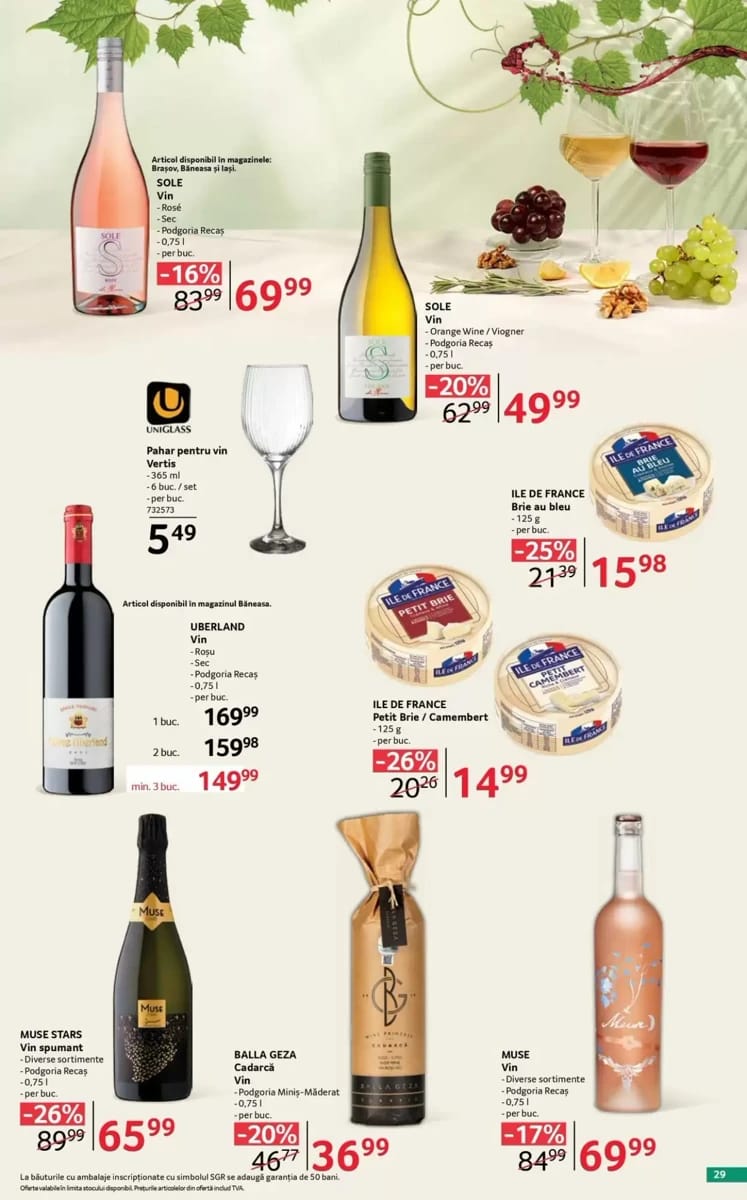 Catalog Selgros, pagina 29 din 38