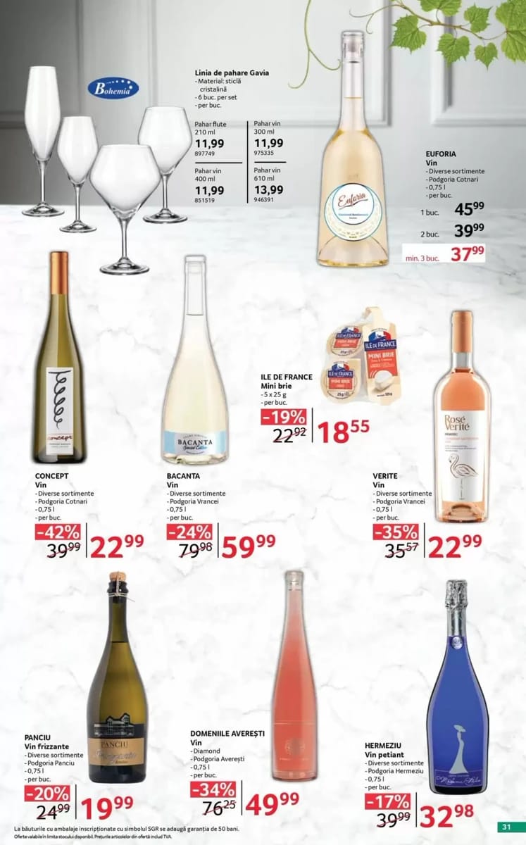 Catalog Selgros, pagina 31 din 38
