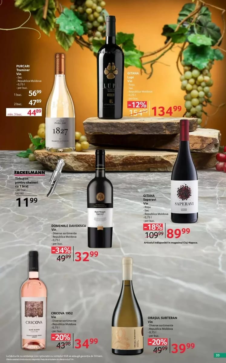 Catalog Selgros, pagina 33 din 38