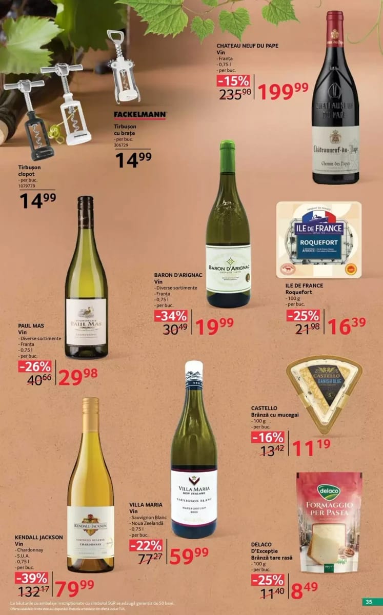 Catalog Selgros, pagina 35 din 38