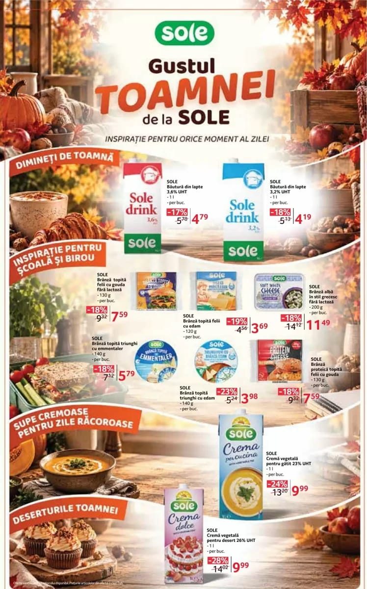 Catalog Selgros, pagina 13 din 36