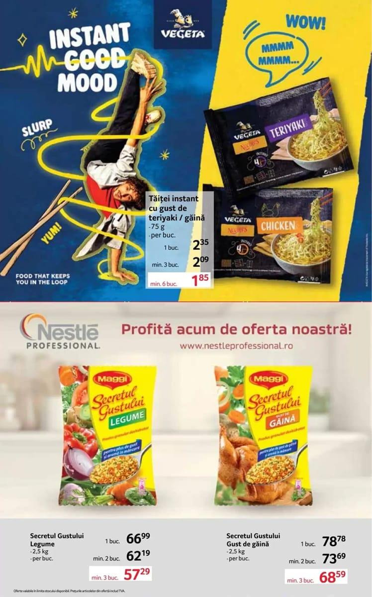 Catalog Selgros, pagina 17 din 36