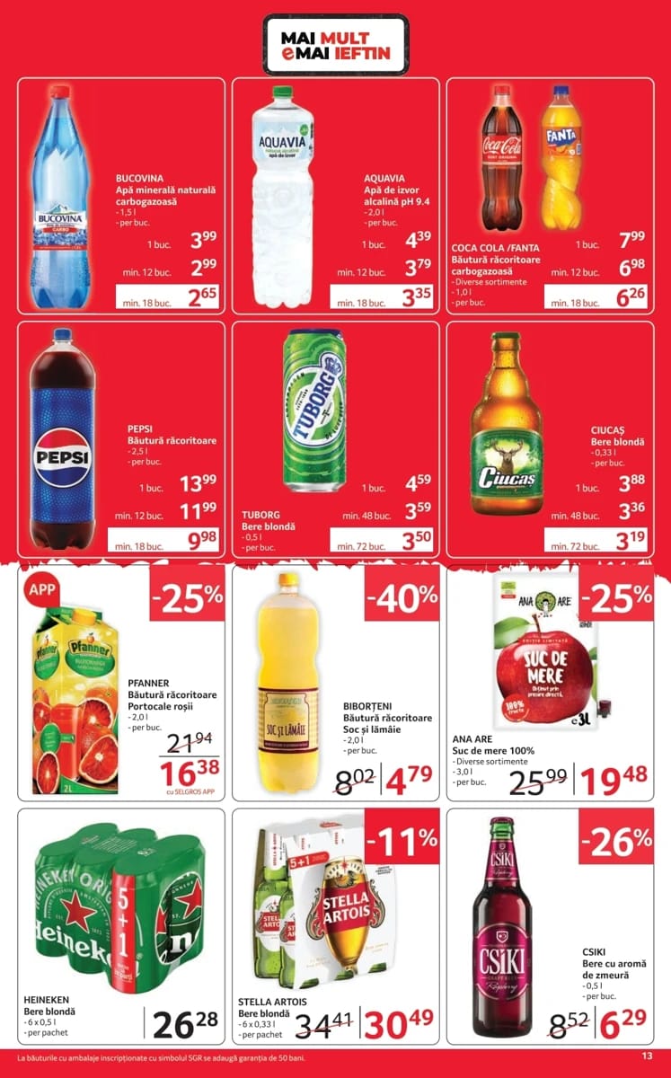 Catalog Selgros, pagina 13 din 20